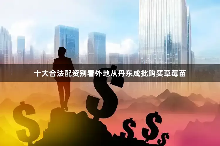 十大合法配资别看外地从丹东成批购买草莓苗