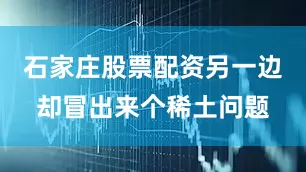石家庄股票配资另一边却冒出来个稀土问题