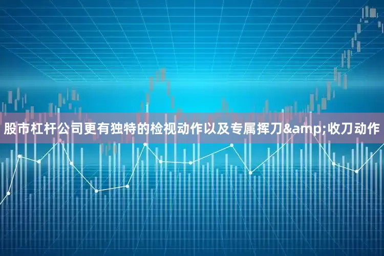 股市杠杆公司更有独特的检视动作以及专属挥刀&收刀动作