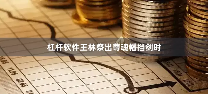 杠杆软件王林祭出尊魂幡挡剑时